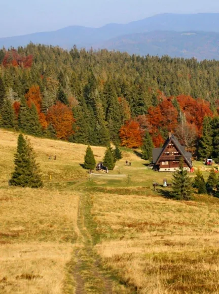 Wielka Rycerzowa w Beskidzie Żywieckim.