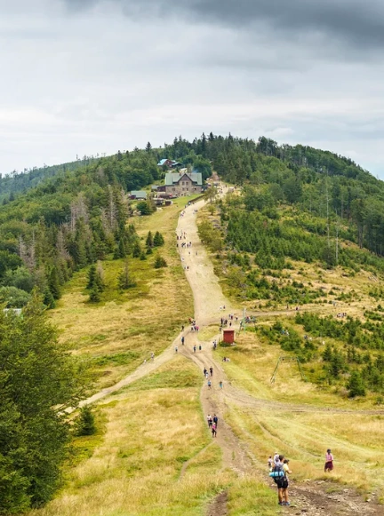 Nowoczesny, żółty wagonik kolei gondolowej Szyndzielnia unoszący się nad zielonymi lasami Beskidu Śląskiego.
