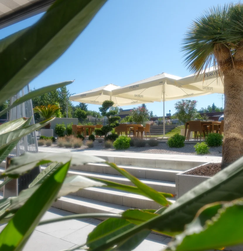 Słoneczny taras restauracyjny z drewnianymi stolikami i białymi parasolami, otoczony roślinami ozdobnymi i palmami, widziany spomiędzy liści.